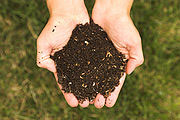 Rich soil in palm of your hands