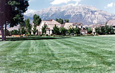 Cultivate a healthier landscape.