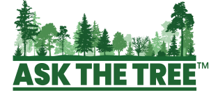 Ask the Tree