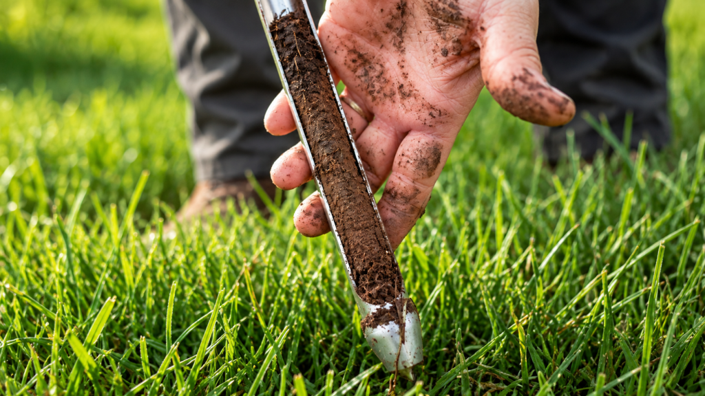 Close-Up Soil Sampling in a Lush Lawn