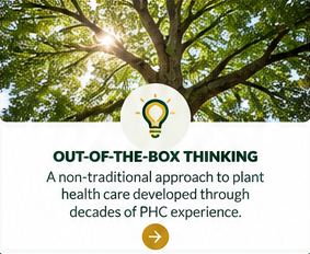 Out-Of-the-Box Thinking