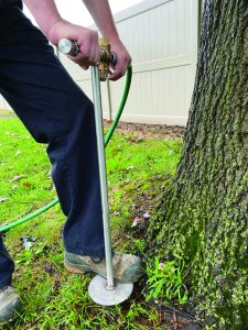 root feeder